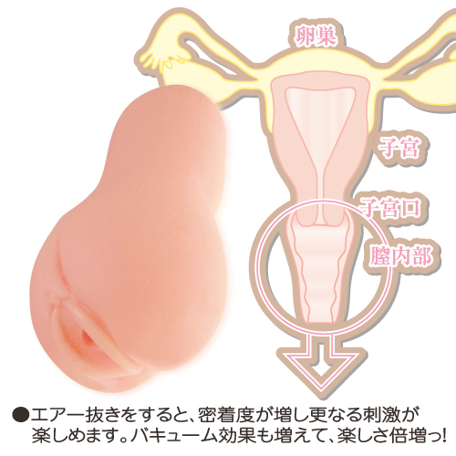 【ﾊﾟｯｹｰｼﾞﾘﾆｭｰｱﾙ】セブンティーンエボリューション（17 Seven Teen evolution) 商品説明画像4