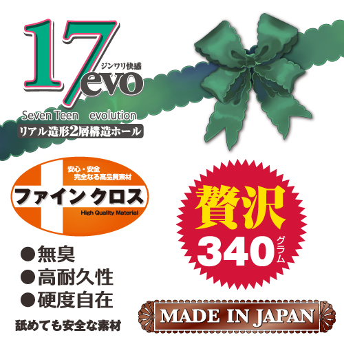 【ﾊﾟｯｹｰｼﾞﾘﾆｭｰｱﾙ】セブンティーンエボリューション（17 Seven Teen evolution) 商品説明画像6