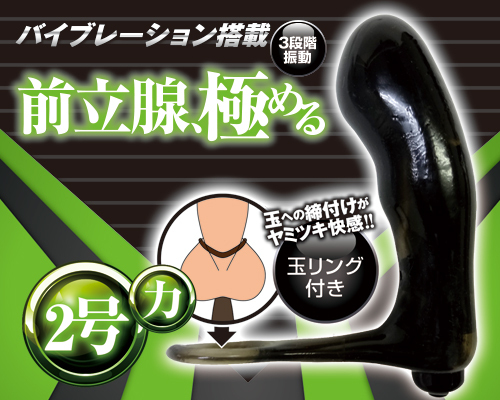 アナクローザーZ 【2号】 商品説明画像2