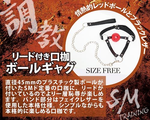 調教　リード付き口枷　ボールギャグ 商品説明画像2