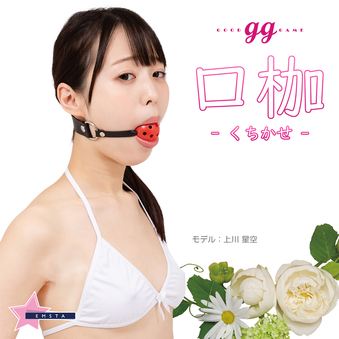 ｇｇシリーズ　日本製「口枷」下着付きＳＭグッズ　～ブラ・パンツ・ソックス付き～（ＭＩＵ０３５６）     EMST-005 商品説明画像2