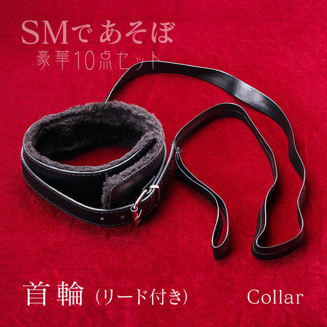 SMであそぼ10点セット 商品説明画像4