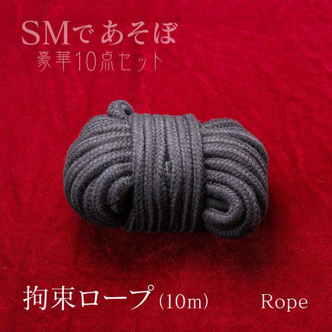 SMであそぼ10点セット 商品説明画像10