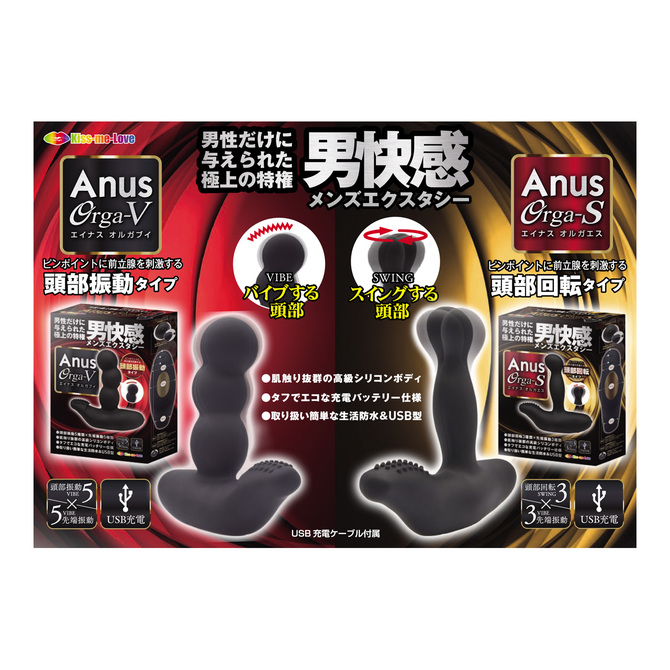 エイナス オルガブイ 商品説明画像7