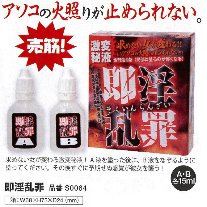 即淫乱罪(そくいんらんざい) ◇ 商品説明画像2
