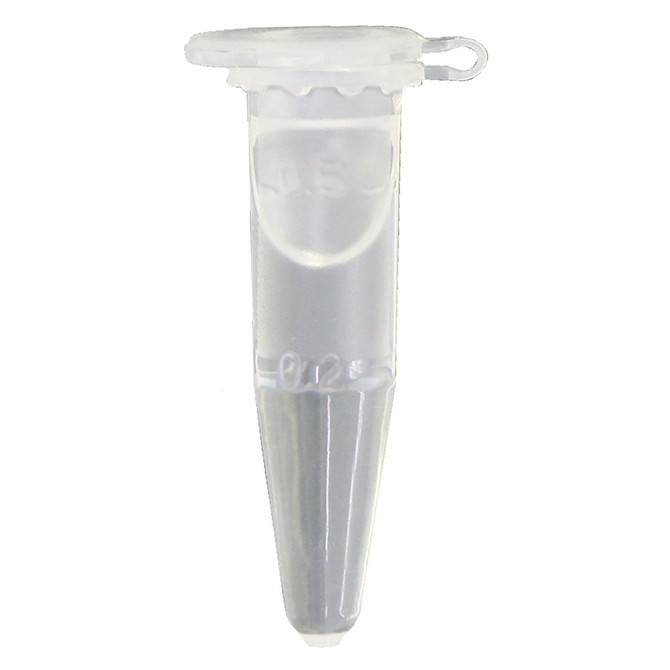 菊門覚醒カプセル HOTタイプ　[アナル専用潤滑効果][感度向上] 	MUSD-014 商品説明画像3