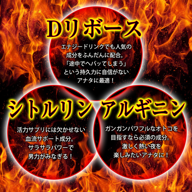 Dialis     RSG-006 商品説明画像5