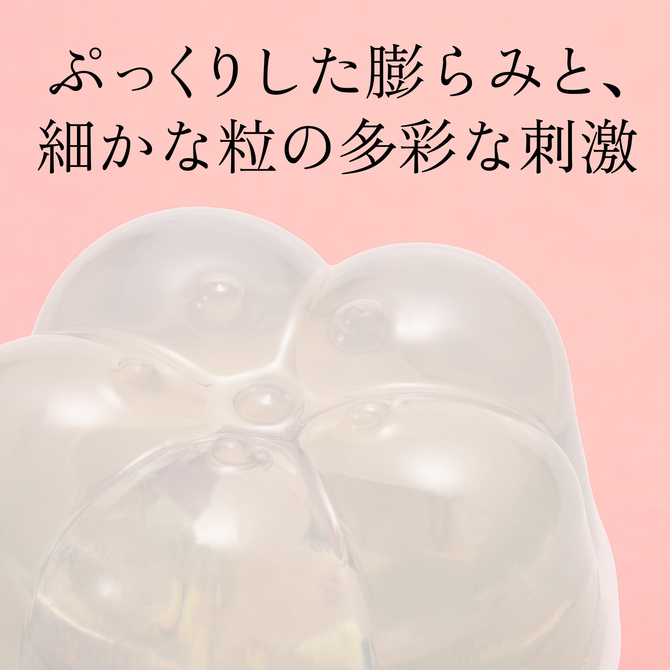 iroha petit PLUM	イロハ プチ プラム	FMP-02 商品説明画像5