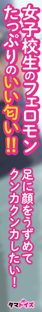 【今ならクリアファイルが付いてくる!!!10月21日以降同梱発送】JKちゃんの足の匂い	TMT-1533 商品説明画像4