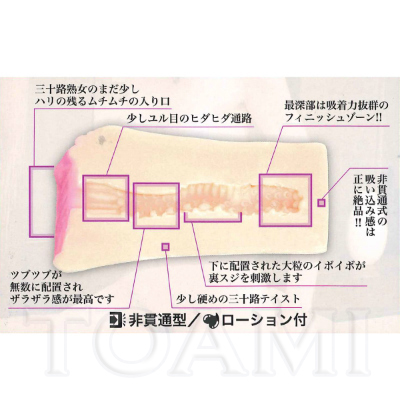神崎京子の美熟女名器【90min DVD付属】　■ 商品説明画像4