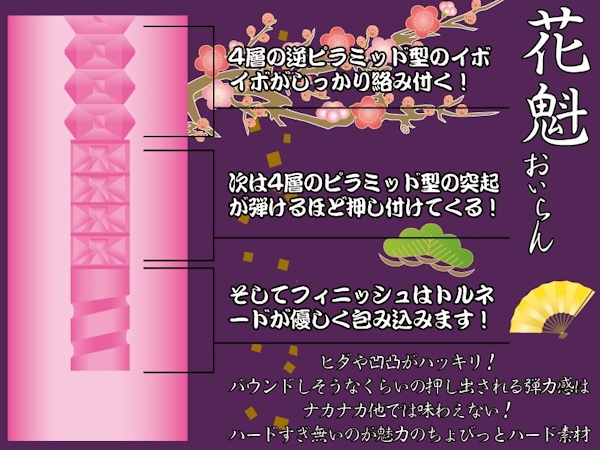 花魁＜おいらん＞ 商品説明画像3