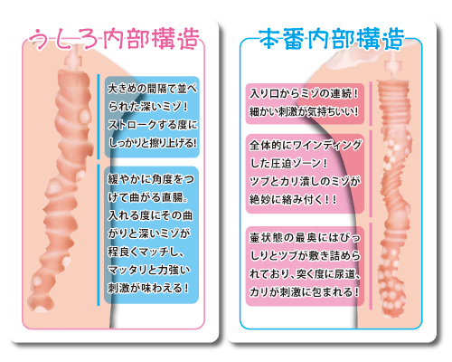 アキバメイドの裏バイト 商品説明画像2