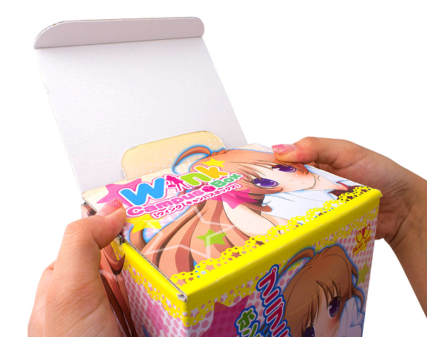 ENJOY TOYS Wink-campus box(ウィンクキャンパスボックス) 商品説明画像6
