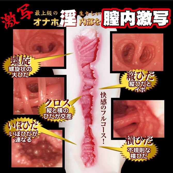 【二重構造】ひだちつッ娘ぷらす【今度はクロスだ!】 商品説明画像2