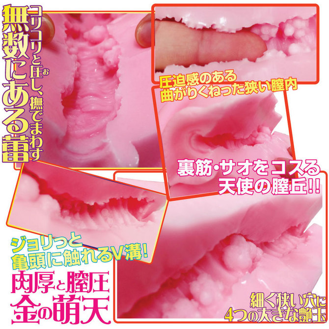 ã50ï½60ï¼OFF!ããæ¥­çæå®å¤!ãã©ã¤ãã¸ã£ãã³ ãèåã¨è£å§ãéã®èå¤© ã´ã¡ã¼ã¸ã³ã­ã¼ã·ã§ã³ä»ã ååèª¬æç»å6