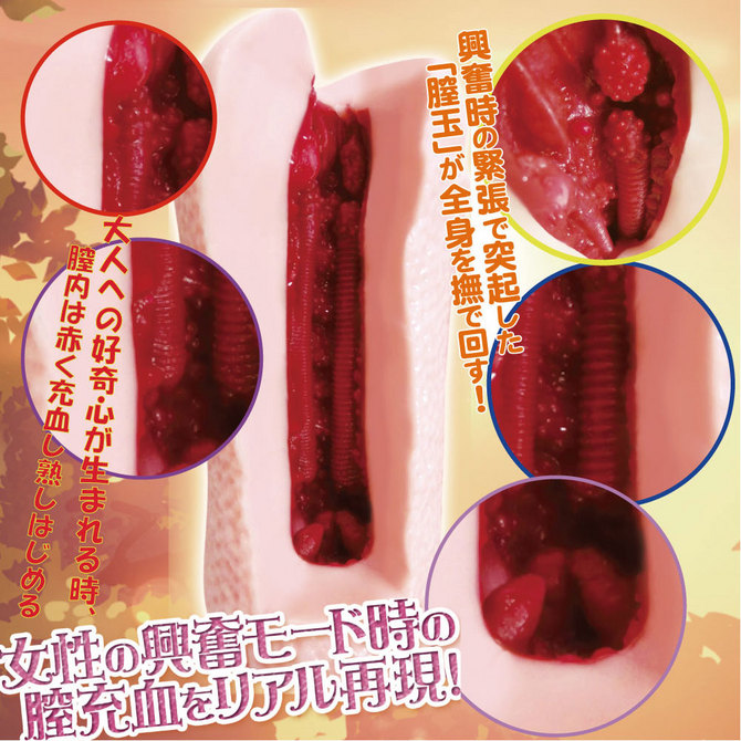 ã50ï½60ï¼OFF!ãã©ã¤ãã¸ã£ãã³ ãåè¡2å±¤ãåçJC ã´ã¡ã¼ã¸ã³ã­ã¼ã·ã§ã³ä»ã â¡ ååèª¬æç»å3