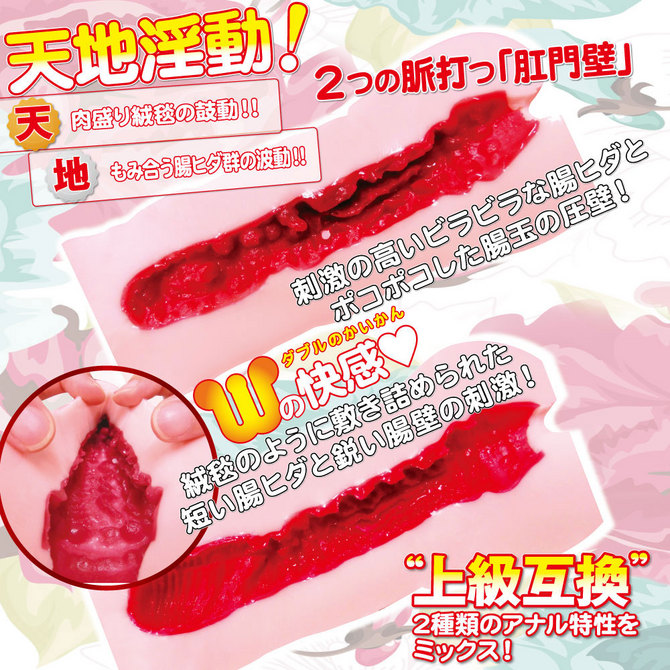 ライドジャパン 【天地淫動アナル】ロリンコアナルWポジション ヴァージンローション付き □ 商品説明画像3