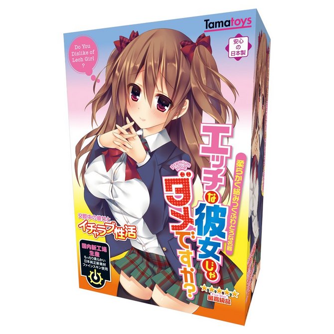 【販売終了・アダルトグッズ、大人のおもちゃアーカイブ】エッチな彼女じゃダメですか？　TMT-528 商品説明画像1