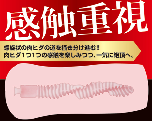 【50～60％OFF!】ゼックス エクストラ 【ソフト】 商品説明画像4