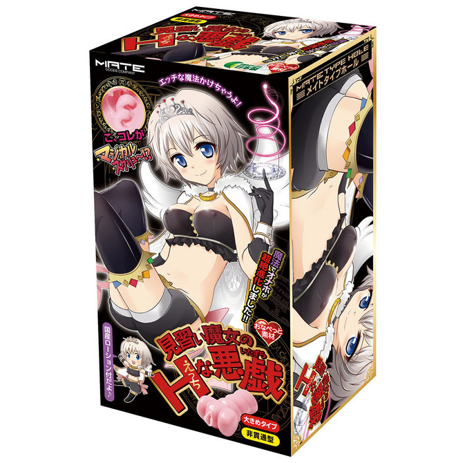 見習い魔女のHな悪戯 商品説明画像1