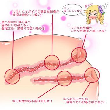 リアルボディ極生腰6.3Kg　イラスト：式神くろ子 商品説明画像6