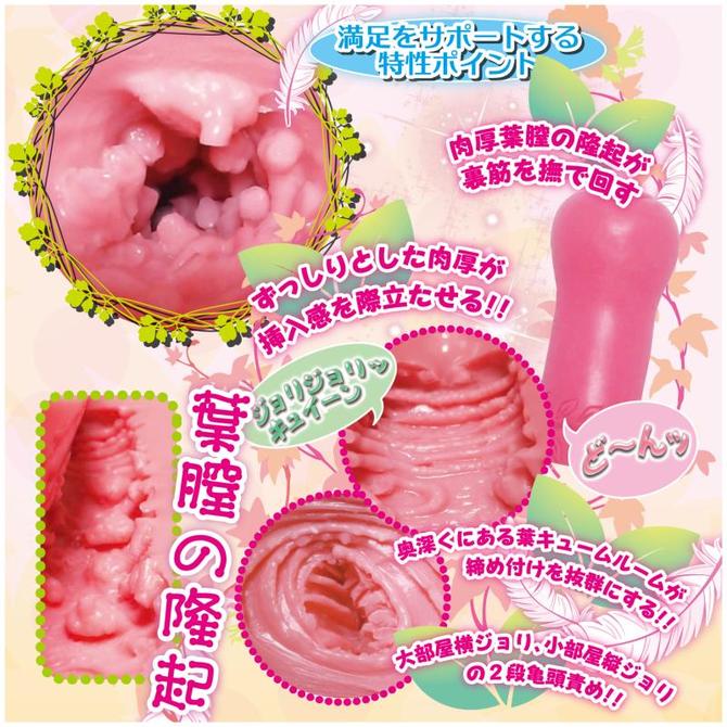ヴァギぷらんと ◇ 商品説明画像3
