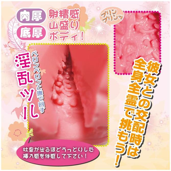 ヴァギぷらんと ◇ 商品説明画像4