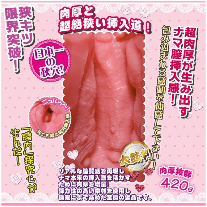 【販売終了・アダルトグッズ、大人のおもちゃアーカイブ】【業界最安値!】生膣躍動感　ヴァージン体感　 商品説明画像4