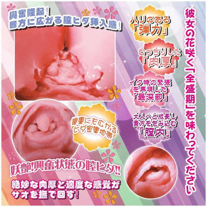 【販売終了・アダルトグッズ、大人のおもちゃアーカイブ】成熟ヴァギヒダ 商品説明画像4