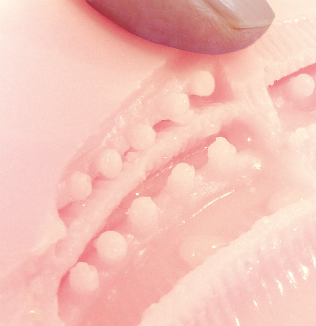 魔層オナホでイク性生活 CKW-018 商品説明画像7