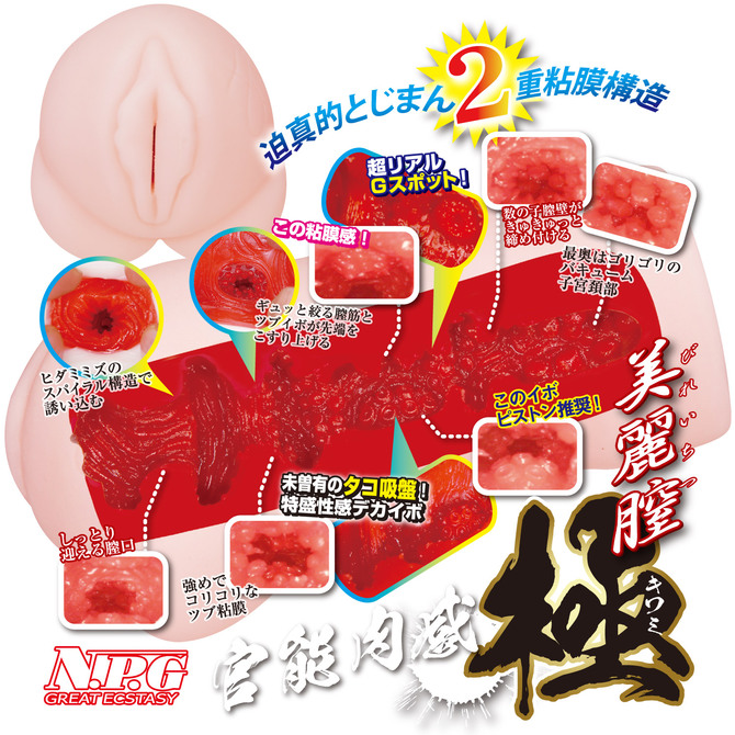 æ¥µä¸!ç¾å¥³ã®Hãªç©´ãè¼æããã ååèª¬æç»å2