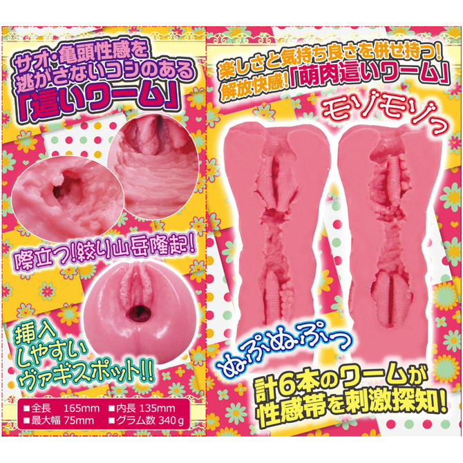 這い肉ワーム ◇ 商品説明画像2