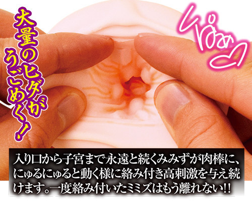 名器百景 ミミズ千匹 商品説明画像3
