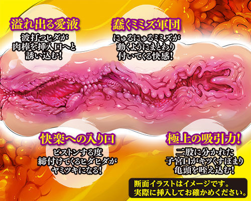名器百景 ミミズ千匹 商品説明画像6