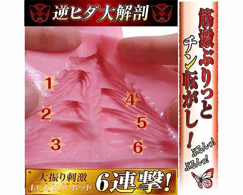 【業界最安値!】逆ヒダヴァギナージュ ◇ 商品説明画像3