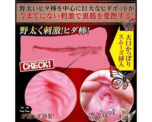 【業界最安値!】逆ヒダヴァギナージュ ◇ 商品説明画像4