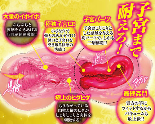 å­å®®å§¦é ååèª¬æç»å4