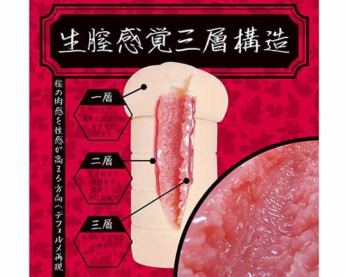 çè£æè¦ä¸å±¤æ§é&nbsp;ãå¤¢ç¡è±æ(ãããã¡ãã)ããå¤§åãããªç¡¬(+2) ååèª¬æç»å2