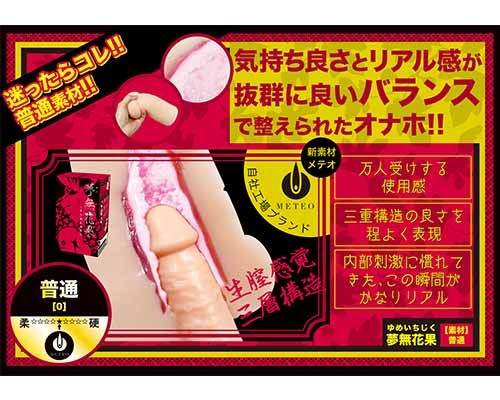 çè£æè¦ä¸å±¤æ§é&nbsp;ãå¤¢ç¡è±æ(ãããã¡ãã)ããå¤§åãæ®é(0) ååèª¬æç»å5