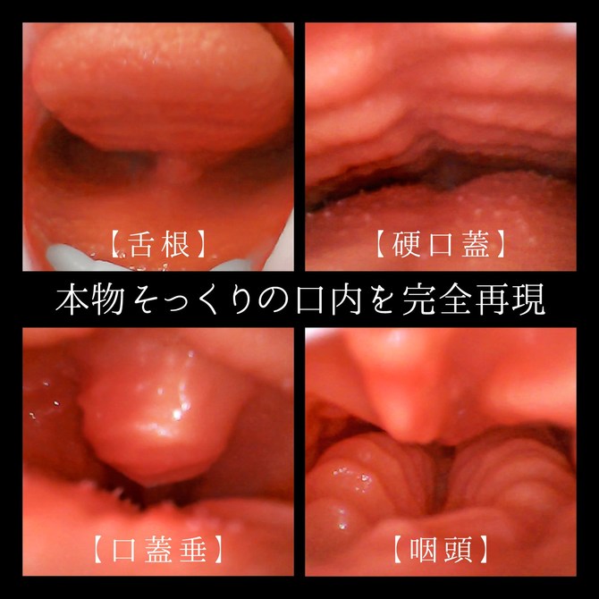 æ¿ãã§ã© ãã­ã¥ã¼ã&nbsp; æ¡æ¨å ååèª¬æç»å8