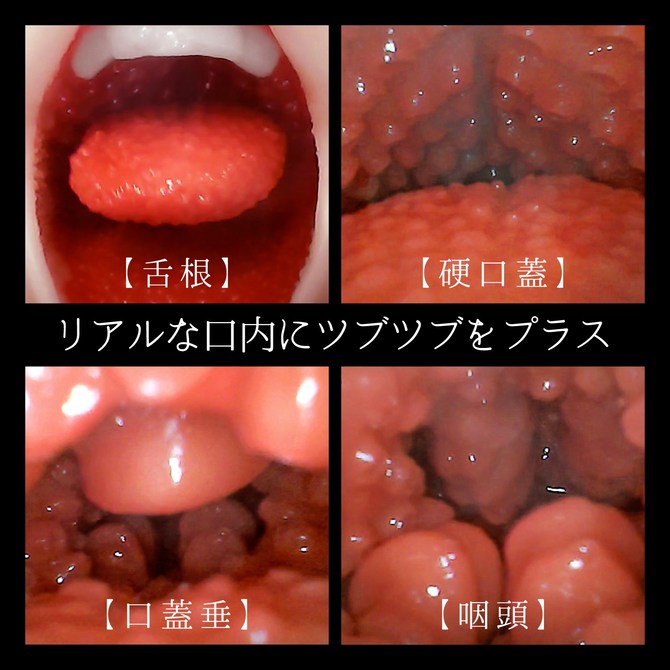 æ¿ãã§ã© ãã­ã¥ã¼ã&nbsp; ä¸åã»ã®ã ååèª¬æç»å8