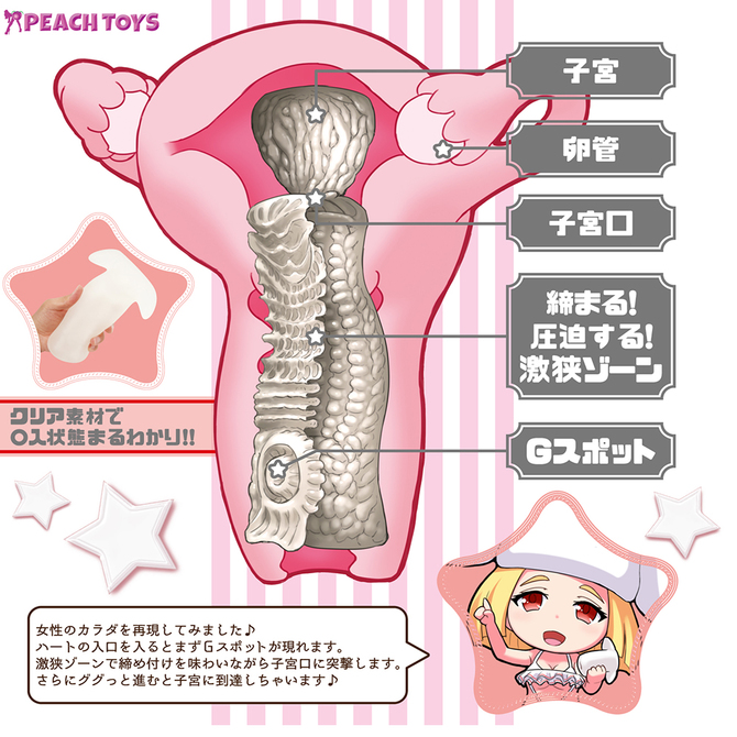 【半額以下タイムセール!】【50~60%OFF!】子宮ホールウテルスX スタンダードクリア 商品説明画像4