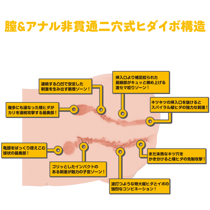 ãæ¥­çæå®å¤!ããªã¢ã«ããã£+3Dãã¼ã³ã·ã¹ãã&nbsp; ã¡ã£ã±ãçæãã â ååèª¬æç»å6