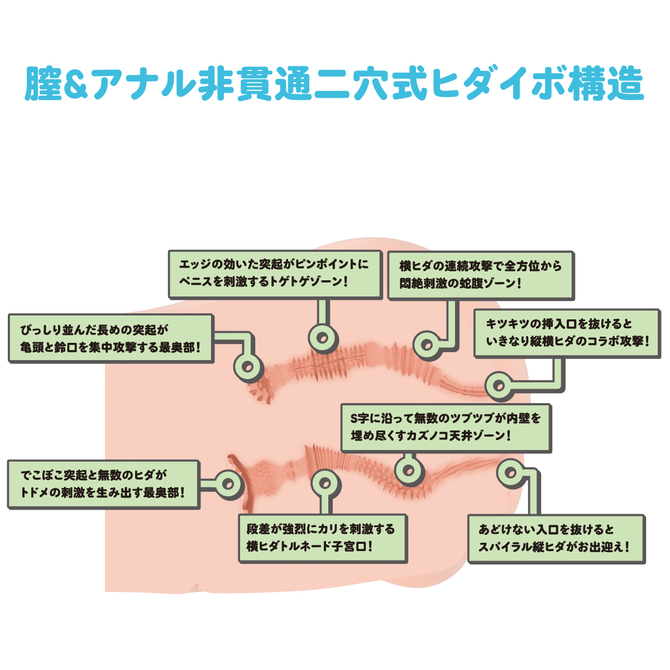 ãæ¥­çæå®å¤!ããªã¢ã«ããã£+3Dãã¼ã³ã·ã¹ãã&nbsp; ã¤ããºãèæ¨ã²ãª ååèª¬æç»å6