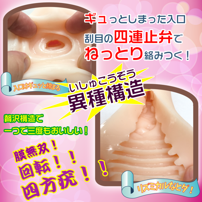 Fillworks 異種構造【てろまん】ワイドストラクチャー 商品説明画像5