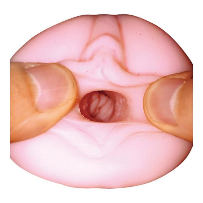 ケモノ発情中につき はるか 商品説明画像8
