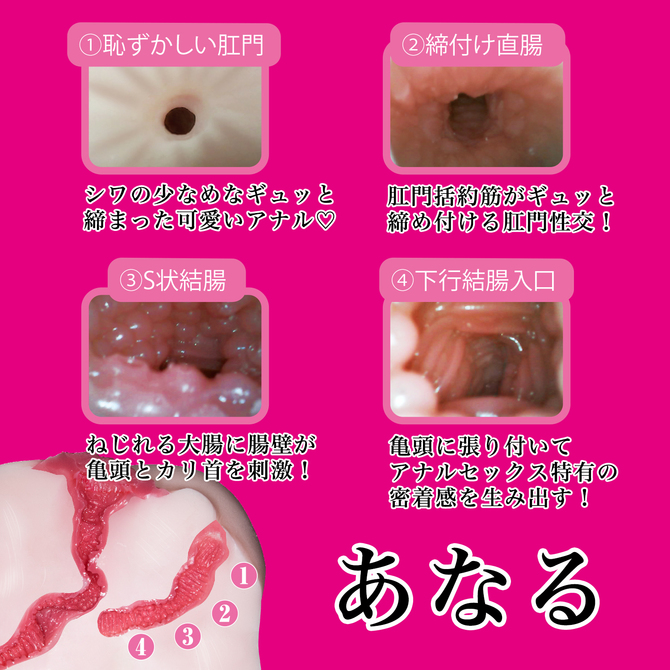 ã50ï½60ï¼OFF!ããâã³ ãã³ãã³! èªãè° ååèª¬æç»å6