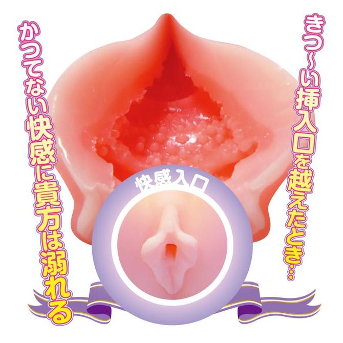 妄想！女体パフェ！ 商品説明画像4