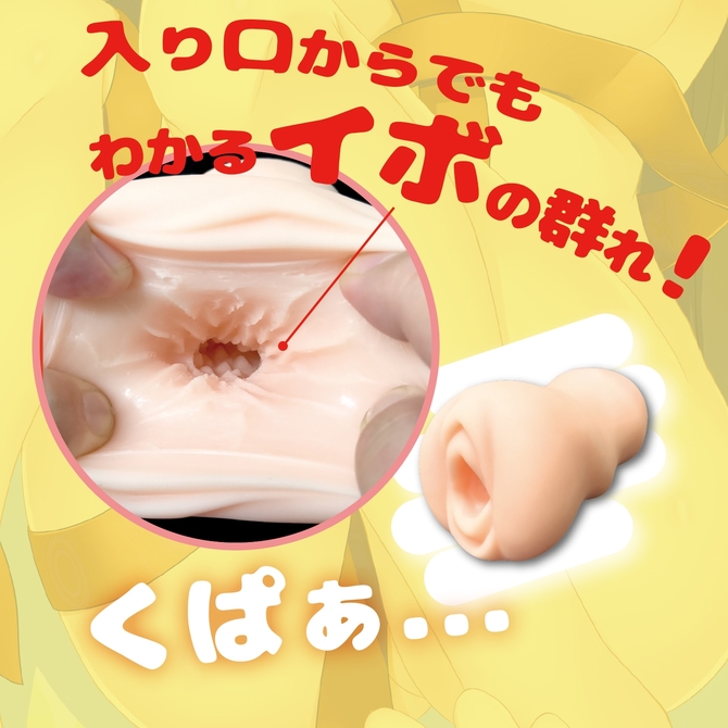 Fillworks ワインドアップテンタクルリピート パンドラス 商品説明画像6