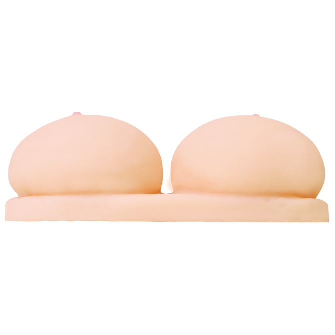 清純保育士のむちむちおっぱい 商品説明画像4